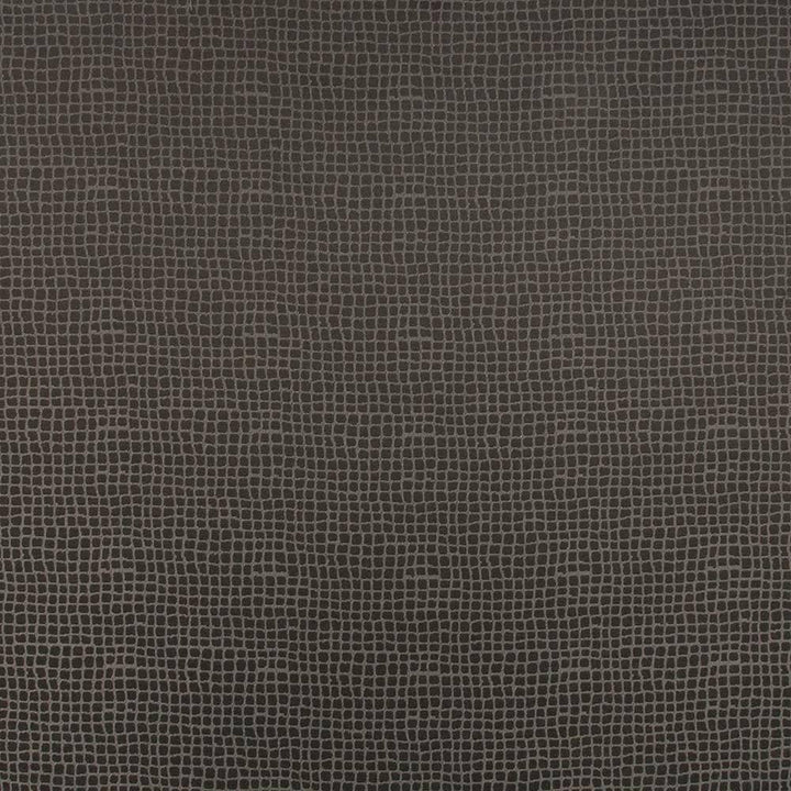 Petite Dundee Grey by Kasmir Fabric 5101 MEXICO Not Tested H: 4/8 inches, V:4/8 inches 59 - Fabric Carolina - Kasmir
