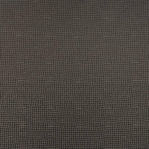 Petite Dundee Grey by Kasmir Fabric