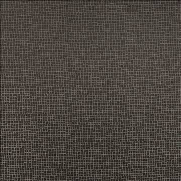 Petite Dundee Grey by Kasmir Fabric 5101 100% Polyester MEXICO Not Tested H: 4/8 inches, V: 4/8 inches 59 - Fabric Carolina - Kasmir