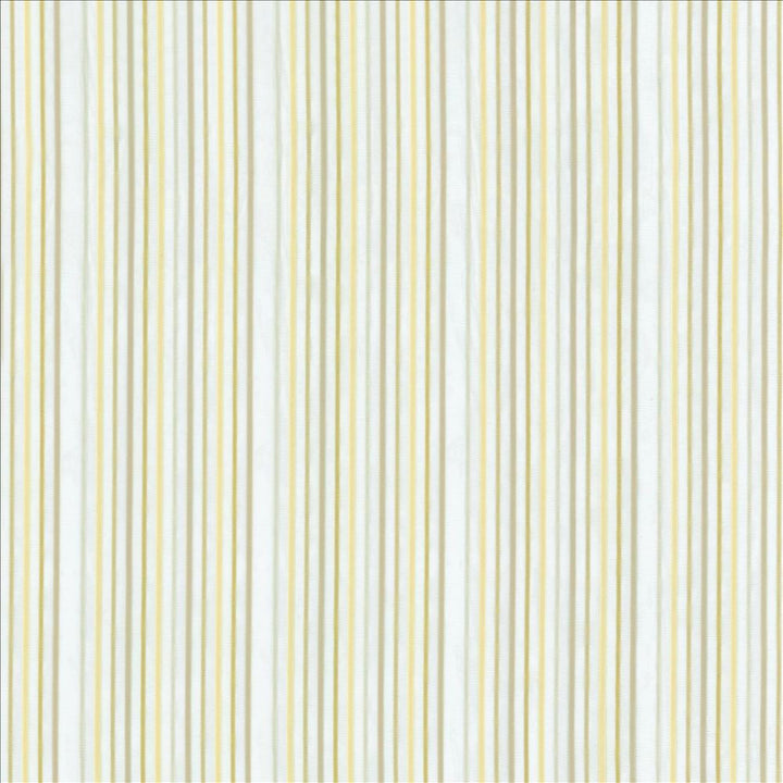 Petticoat Marble by Kasmir Fabric 5108 100% Polyester
 TURKEY Not Tested Horizontal: 4 inches and Vertical: N/A 59 - Fabric Carolina -