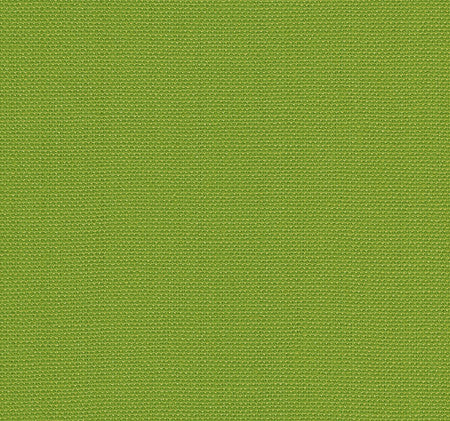 Knightbridge Lime by Baker Lifestyle Fabric
