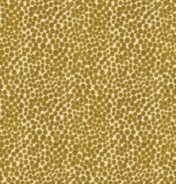 Lembury Lime by Baker Lifestyle Fabric