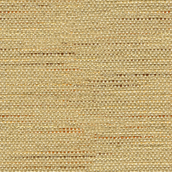 Satara Camel by Baker Lifestyle Fabric