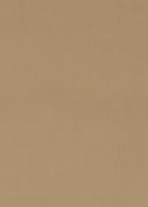 Milborne Camel by Baker Lifestyle Fabric