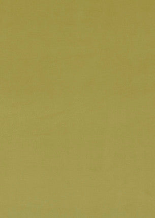 Milborne Spring by Baker Lifestyle Fabric