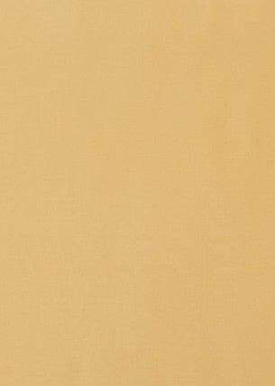 Milborne Sunshine by Baker Lifestyle Fabric