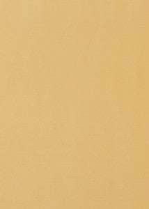 Milborne Sunshine by Baker Lifestyle Fabric