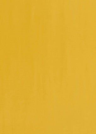 Milborne Daffodil by Baker Lifestyle Fabric