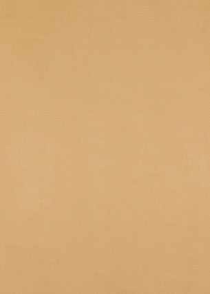 Maddox Arabia by Baker Lifestyle Fabric
