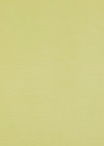 Maddox Pistachio by Baker Lifestyle Fabric