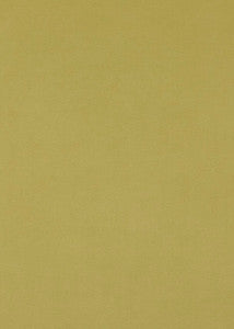 Maddox Lime by Baker Lifestyle Fabric