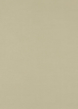 Maddox Celery by Baker Lifestyle Fabric