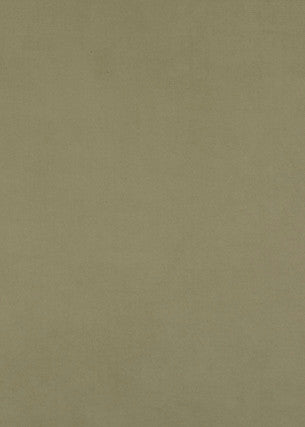 Maddox Sage by Baker Lifestyle Fabric