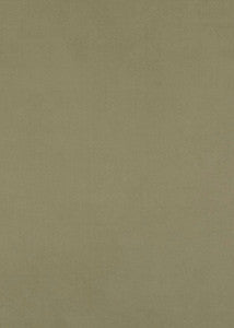 Maddox Sage by Baker Lifestyle Fabric