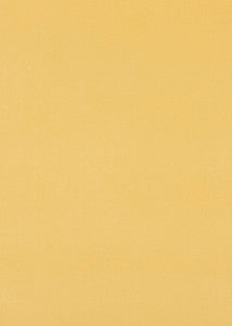 Maddox Sunshine by Baker Lifestyle Fabric