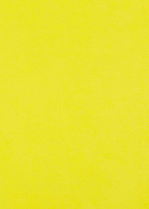 Maddox Lemon Bright by Baker Lifestyle Fabric