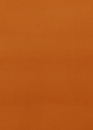 Montpellier Velvet Spice by Baker Lifestyle Fabric