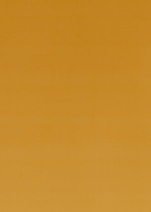 Montpellier Velvet Sienna by Baker Lifestyle Fabric