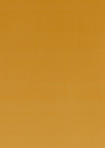 Montpellier Velvet Sienna by Baker Lifestyle Fabric