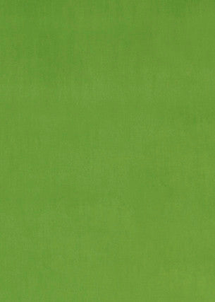 Montpellier Velvet Emerald by Baker Lifestyle Fabric