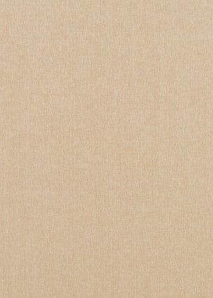 Carnival Plain Sand by Baker Lifestyle Fabric