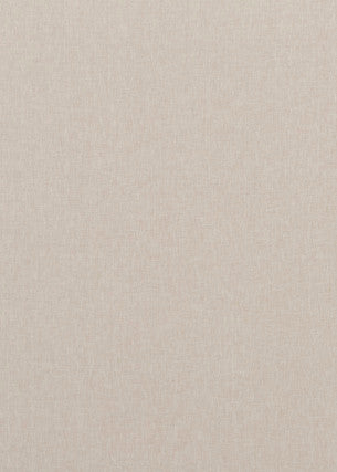 Carnival Plain Pumice by Baker Lifestyle Fabric