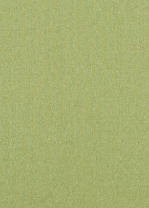 Carnival Plain Grass by Baker Lifestyle Fabric