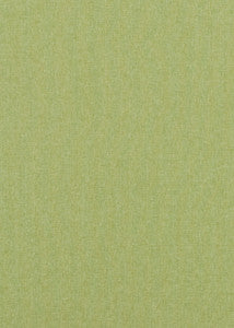 Carnival Plain Grass by Baker Lifestyle Fabric