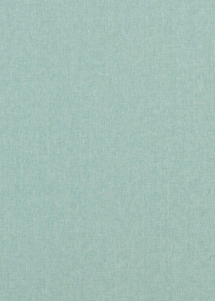 Carnival Plain Lime by Baker Lifestyle Fabric