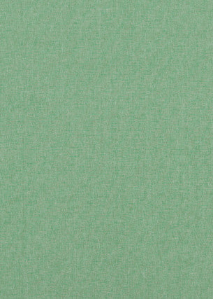 Carnival Plain Emerald by Baker Lifestyle Fabric