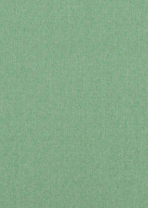 Carnival Plain Emerald by Baker Lifestyle Fabric