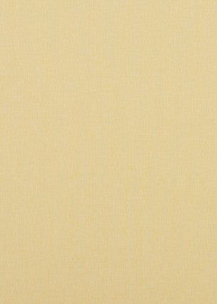 Carnival Plain Yellow by Baker Lifestyle Fabric