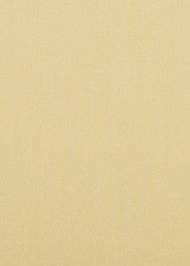 Carnival Plain Yellow by Baker Lifestyle Fabric