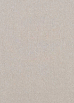 Carnival Plain Silver by Baker Lifestyle Fabric