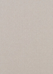 Carnival Plain Silver by Baker Lifestyle Fabric