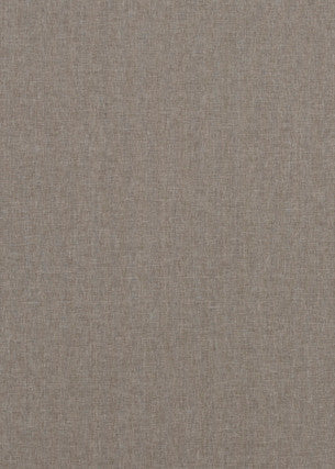 Carnival Plain Pebble by Baker Lifestyle Fabric
