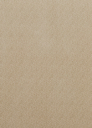 Salsa Spot Parchment by Baker Lifestyle Fabric