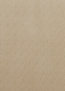 Salsa Spot Parchment by Baker Lifestyle Fabric