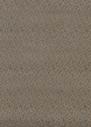 Salsa Two Spot Silver by Baker Lifestyle Fabric