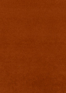 Cadogan Spice by Baker Lifestyle Fabric