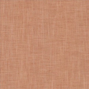 Photo Finish Blush by Kasmir Fabric