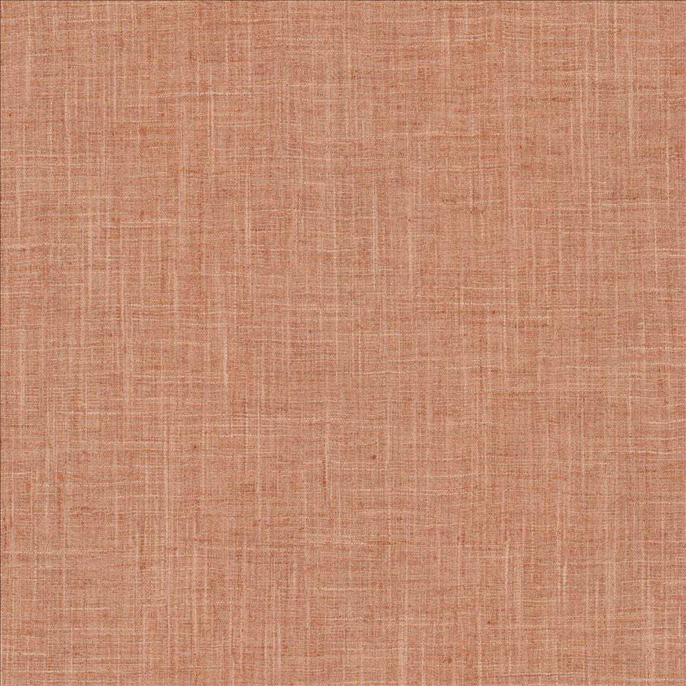 Photo Finish Blush by Kasmir Fabric 5162 100% Polyester
 INDIA </p><p>Repeat: Horizontal: N/A and Vertical: N/A 54 - Fabric Carolina -