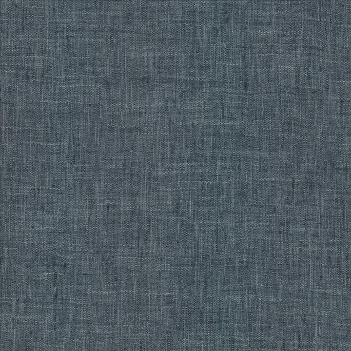 Photo Finish Denim by Kasmir Fabric 5162 100% Polyester
 INDIA 12,000 Wyzenbeek Double Rubs Horizontal: N/A and Vertical: N/A 54 - Fabric Carolina -