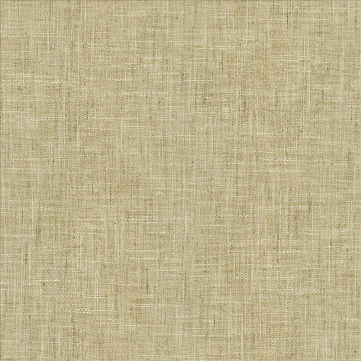 Photo Finish Flannel by Kasmir Fabric 5162 100% Polyester
 INDIA 12,000 Wyzenbeek Double Rubs Horizontal: N/A and Vertical: N/A 54 - Fabric Carolina -