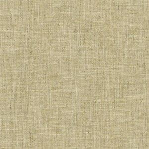 Photo Finish Flannel by Kasmir Fabric