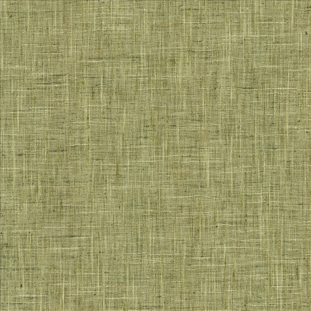 Photo Finish Lemongrass by Kasmir Fabric 5162 100% Polyester
 INDIA 12,000 Wyzenbeek Double Rubs </p><p>Repeat: Horizontal: N/A and Vertical: N/A 54 - Fabric Carolina -