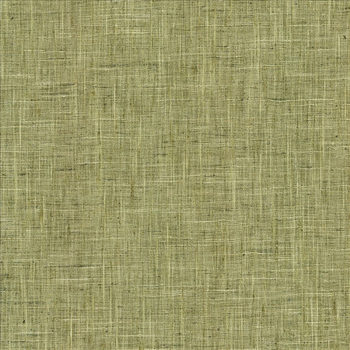 Photo Finish Lemongrass by Kasmir Fabric 5162 100% Polyester
 INDIA 12,000 Wyzenbeek Double Rubs </p><p>Repeat: Horizontal: N/A and Vertical: N/A 54 - Fabric Carolina -