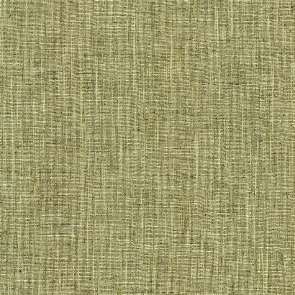 Photo Finish Lemongrass by Kasmir Fabric 5162 100% Polyester
 INDIA </p><p>Repeat: Horizontal: N/A and Vertical: N/A 54 - Fabric Carolina -