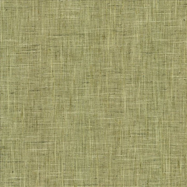Photo Finish Lemongrass by Kasmir Fabric 5162 100% Polyester
 INDIA </p><p>Repeat: Horizontal: N/A and Vertical: N/A 54 - Fabric Carolina -