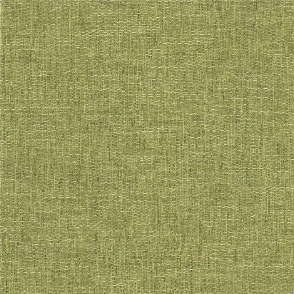 Photo Finish Pesto by Kasmir Fabric 5162 100% Polyester
 INDIA 12,000 Wyzenbeek Double Rubs </p><p>Repeat: Horizontal: N/A and Vertical: N/A 54 - Fabric Carolina -